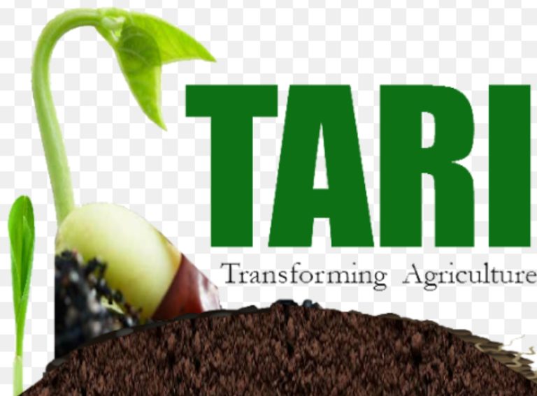 TAARIFA KWA UMMA URASIMISHAJI WA MATUMIZI YA MBEGU ZA TAASISI YA UTAFITI WA KILIMO TANZANIA (TARI)